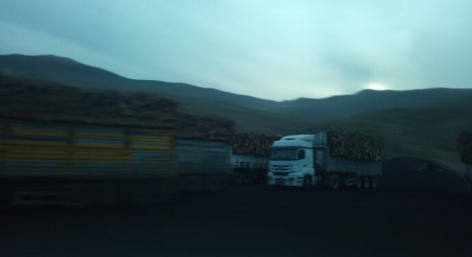 Besta bölgesinde kalekol ve operasyon için ağaç kesme baskısı