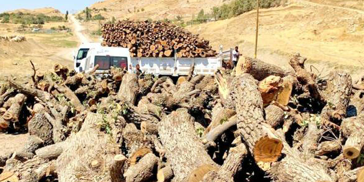 Çepni’den ekoloji örgütlerine: Devletin Kürdistan’da yaptığına da karşı çıkmalı