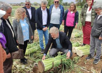 1 Mayıs hazırlıkları devam ediyor: HDP’li Çepni tarım işçileri ile buluştu