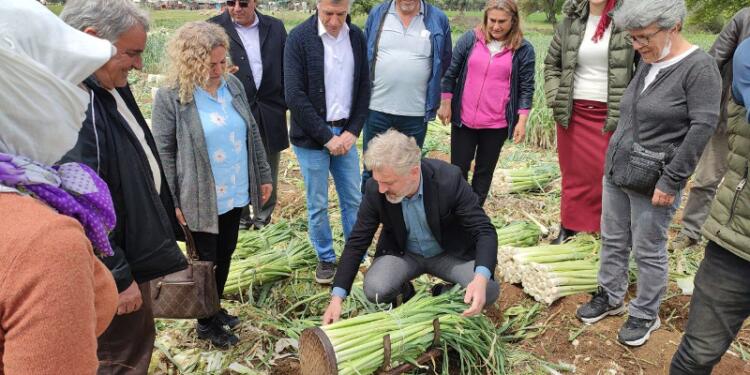 1 Mayıs hazırlıkları devam ediyor: HDP’li Çepni tarım işçileri ile buluştu