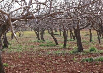 ‘Ya bırakacağız ya değiştireceğiz’