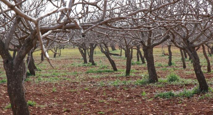 ‘Ya bırakacağız ya değiştireceğiz’