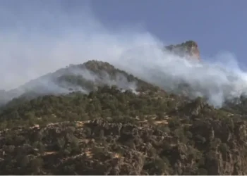 Rojava’daki partilerden saldırılara karşı ortak platform çağrısı