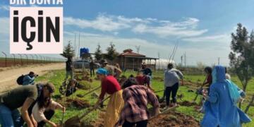 #BirFidanlaYaşamaSahipÇık hashtag çalışması