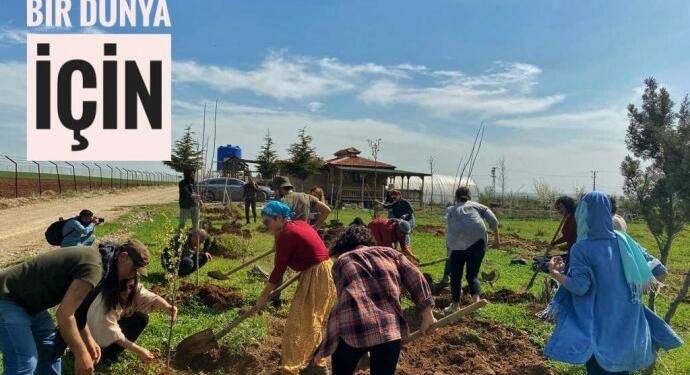 #BirFidanlaYaşamaSahipÇık hashtag çalışması