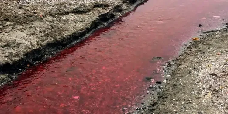 Kamara Deresi kırmızı akmaya başladı