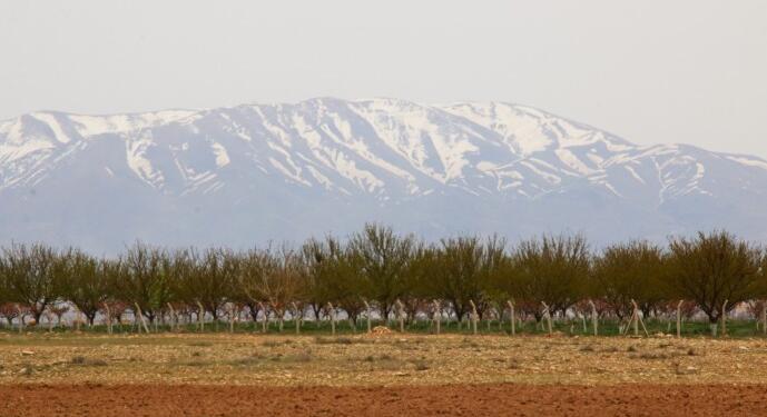 Kayısı üreticileri: Borç faizsiz ötelensin, tarımda ithalattan vazgeçilmeli 