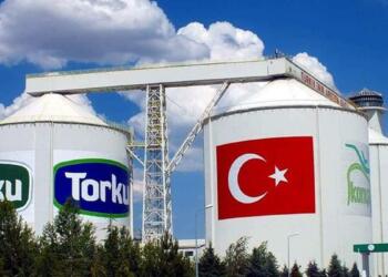 ‘BAE Anadolu Birlik’i satın almak istiyor’