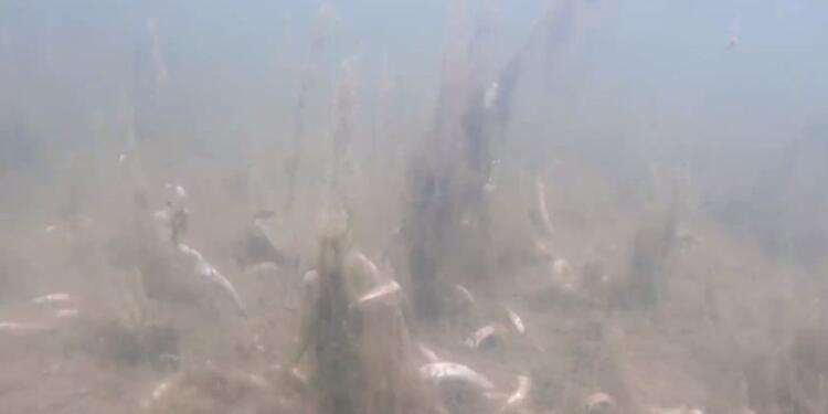 Marmara’nın 30 metre altı ölü!