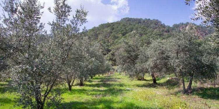 Gelecek yok ediliyor