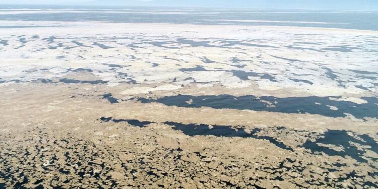 Marmara ve Karadeniz ölüyor!