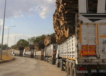 ‘Kürt coğrafyasında eko kırım farklı boyutta’