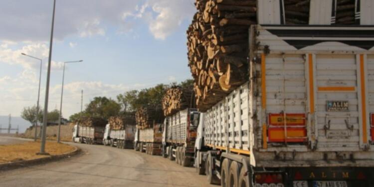 ‘Kürt coğrafyasında eko kırım farklı boyutta’