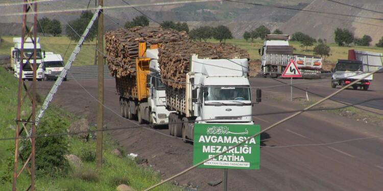 Cudi ve Besta’da ağaç kıyımı sürüyor