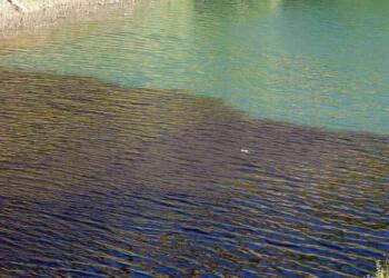 Torul Baraj Gölü kızıla büründü