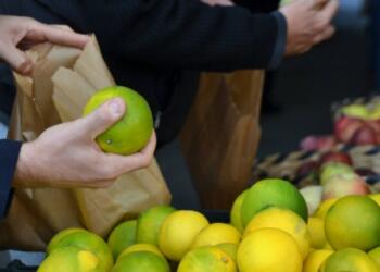 Zehirli gıdalar soframıza mı geliyor?