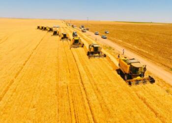 Çiftçi Sen: Gıda krizine karşı gıda egemenliği mücadelesi verilmeli