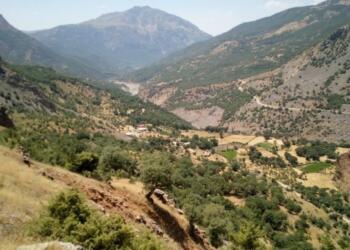 Bitlis’te 7 köy ve mezrada yasak kararı