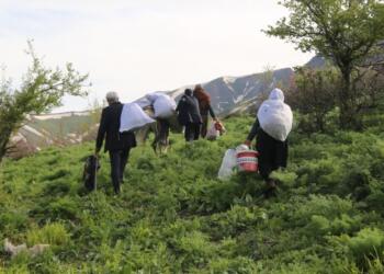 Köylerine GBT’yle giriyorlar: Yaşamsal malzemeler ‘kotalı’