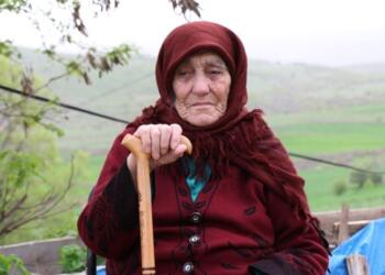 Gözümüz açık öleceğiz