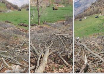 ÇEVDER kıyıma karşı suç duyurusunda bulunacak: Bu anlayışı lanetliyoruz