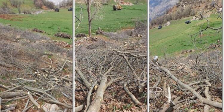 ÇEVDER kıyıma karşı suç duyurusunda bulunacak: Bu anlayışı lanetliyoruz