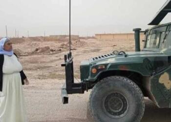 ‘Şengal’de uluslararası konsept devrede’