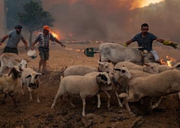 Yangınlar ihaleyi bekler mi?