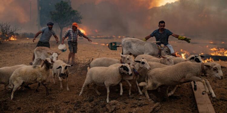 Yangınlar ihaleyi bekler mi?