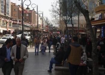 Farklı şehirler, ortak talep: Kürtçe resmi dil olsun