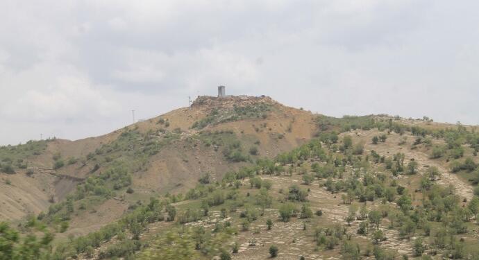 Besta’da ağaç kıyımı devam ediyor: Yaşamımız alanımız da yok ediliyor