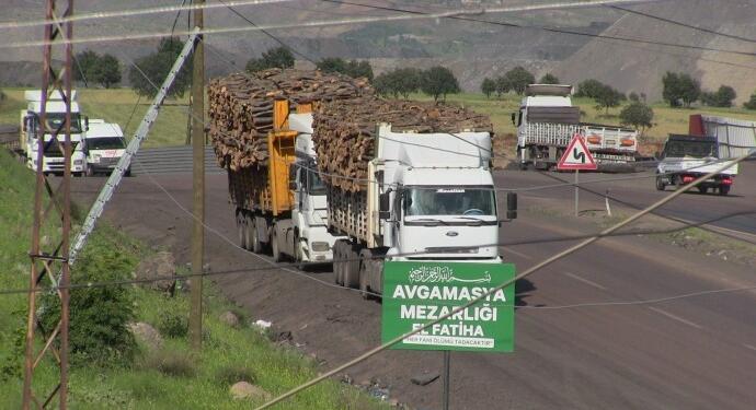 Cudi ve Besta’da ağaç kıyımı sürüyor