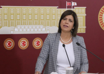 Beştaş: Katilleri serbest bırakan iktidar, iki yaşlı insanı tutukluyor