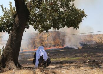 ‘Doğadaki yıkımın amacı insansızlaştırmadır’