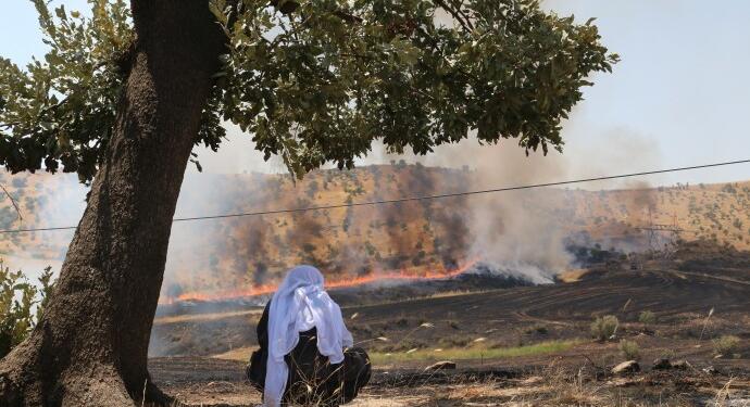‘Doğadaki yıkımın amacı insansızlaştırmadır’