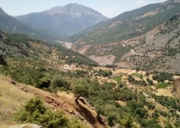 Hizan’da korucu destekli operasyon