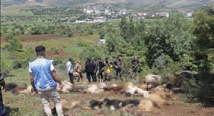Hazro’da koyunlara yıldırım çarptı