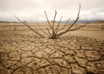 Dünya kuraklaşıyor; Türkiye’de yağışlar yüzde 57 azaldı