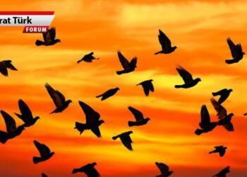 Ölüm mesafesini aşmak