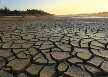 2021’de iklim değişimi rekorları kırıldı