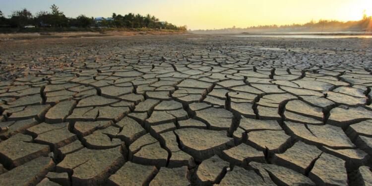2021’de iklim değişimi rekorları kırıldı