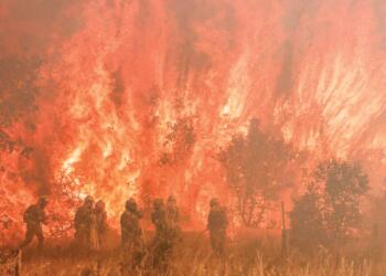 Avrupa’da orman yangınları