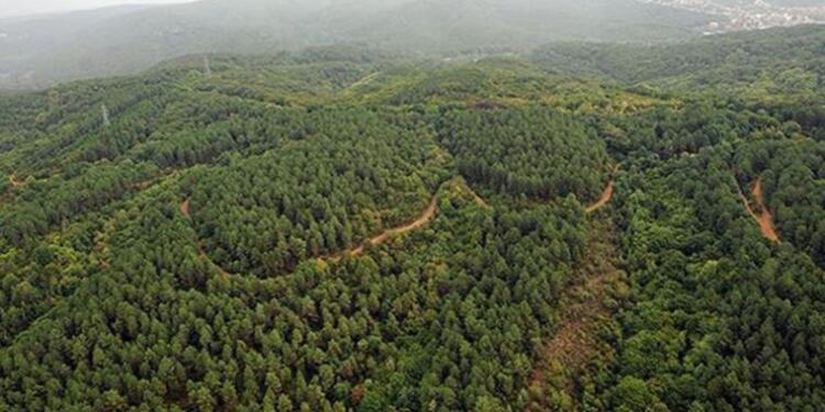 Aydos’a rantın perdesi: ‘Millet Bahçesi’