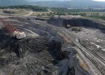 Kömür için 75 bin hektar orman!