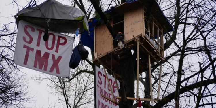 Kanada’da Prof. Takaro’nun direnişi!