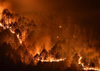 Muğla’da yangınları kimler yakıyor?