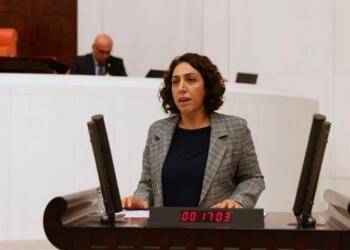 Saliha Aydeniz hakkında soruşturma başlatıldı