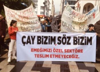 Artvin’de çay üreticileri eylemde: ÇAYKUR yok ediliyor