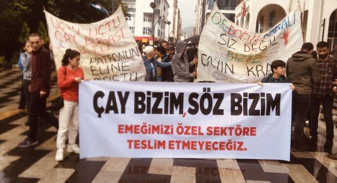 Artvin’de çay üreticileri eylemde: ÇAYKUR yok ediliyor