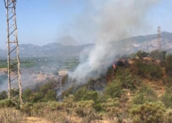 Muğla’da orman yangınları: Fethiye ve Seydikemer ilçelerindeki yangın söndürüldü